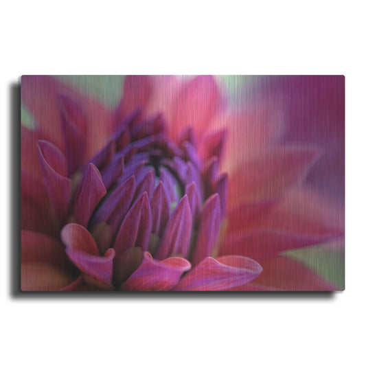 Luxe Metal Art 'Dahlia Centre Pink Purple' by Cora Niele, Metal Wall Art