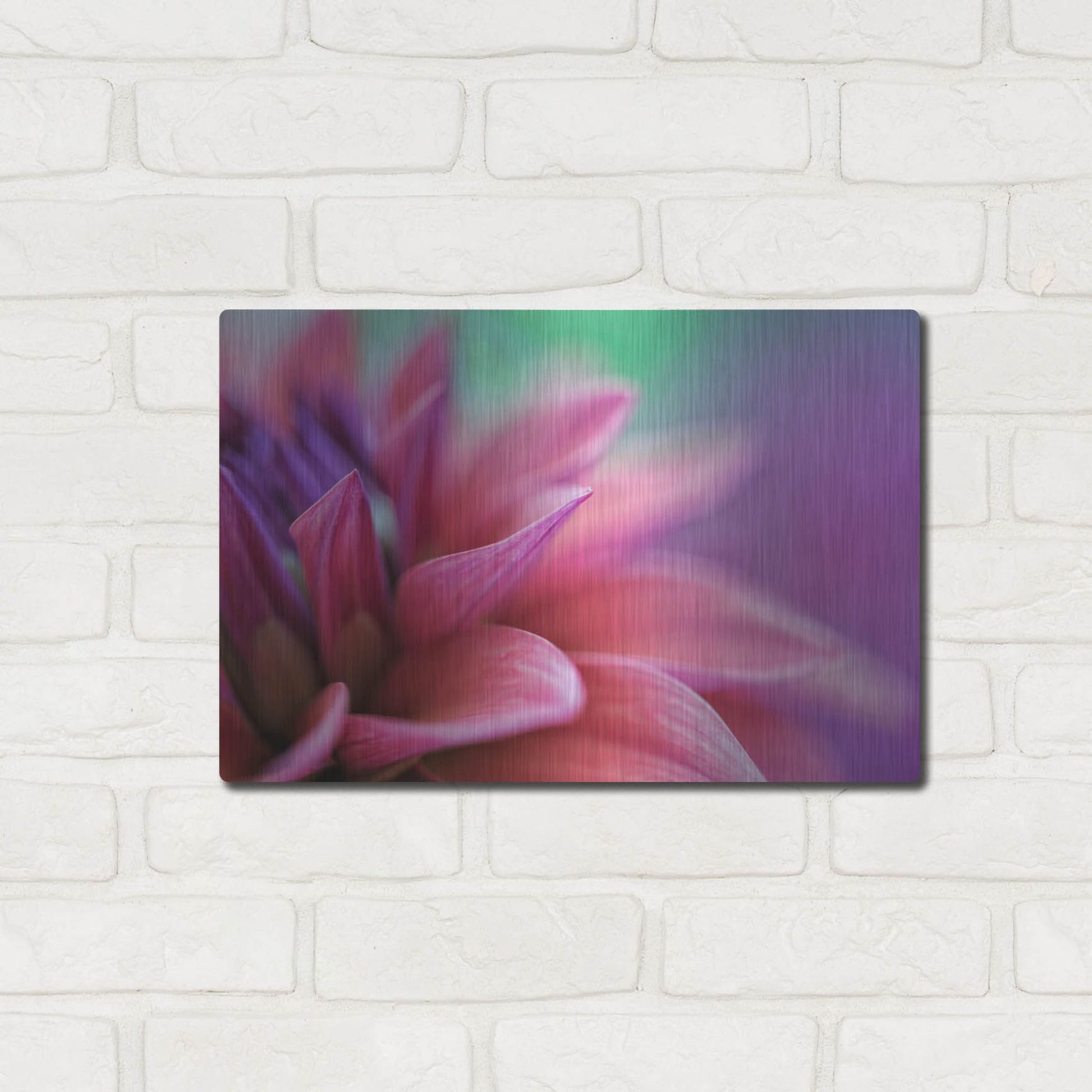 Luxe Metal Art 'Dahlia Petals Pink Purple' by Cora Niele, Metal Wall Art,16x12