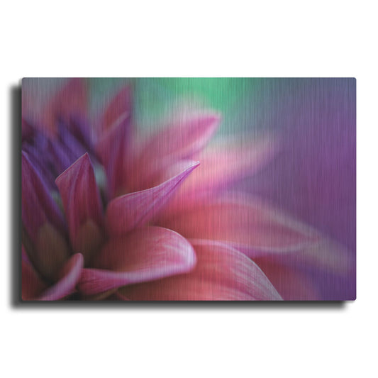 Luxe Metal Art 'Dahlia Petals Pink Purple' by Cora Niele, Metal Wall Art