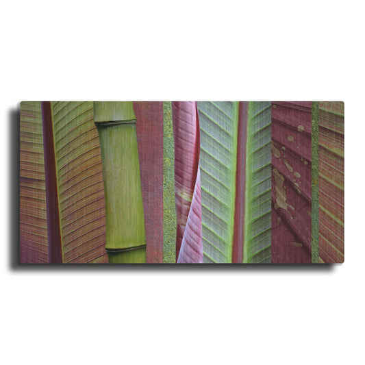 Luxe Metal Art 'Green and Red Leaf Collage' by Cora Niele, Metal Wall Art