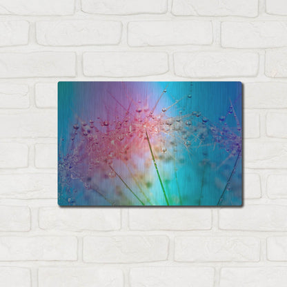 Luxe Metal Art 'Rainbow Droplets' by Cora Niele, Metal Wall Art,16x12