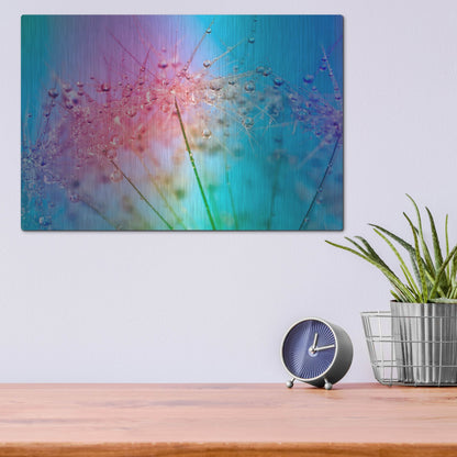 Luxe Metal Art 'Rainbow Droplets' by Cora Niele, Metal Wall Art,16x12