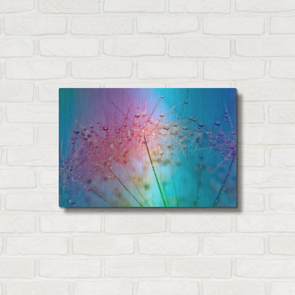 Luxe Metal Art 'Rainbow Droplets' by Cora Niele, Metal Wall Art,24x16