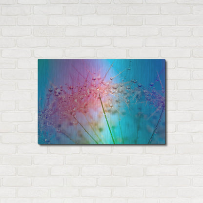 Luxe Metal Art 'Rainbow Droplets' by Cora Niele, Metal Wall Art,36x24