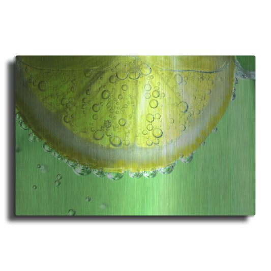 Luxe Metal Art 'Lemon Slice' by Dana Brett Munach, Metal Wall Art