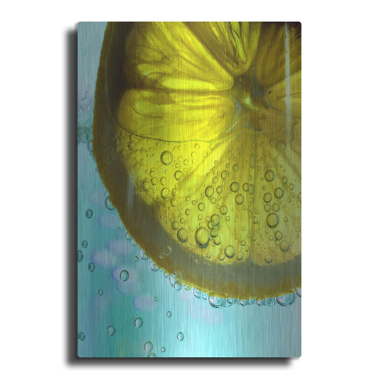 Luxe Metal Art 'Lemon Wheel' by Dana Brett Munach, Metal Wall Art