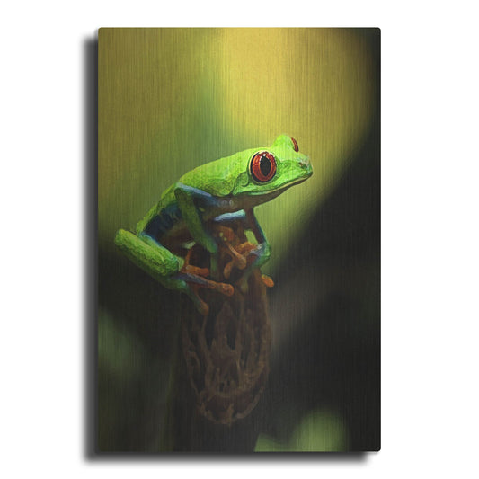 Luxe Metal Art 'Tree Frog' by Dana Brett Munach, Metal Wall Art