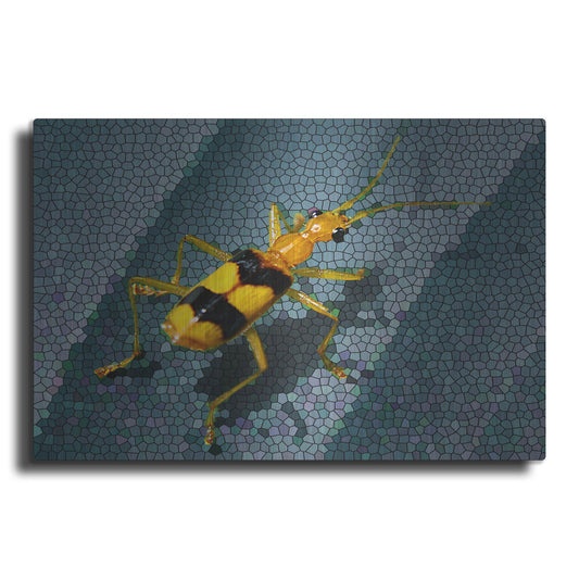 Luxe Metal Art 'Yellow Bug' by Dana Brett Munach, Metal Wall Art