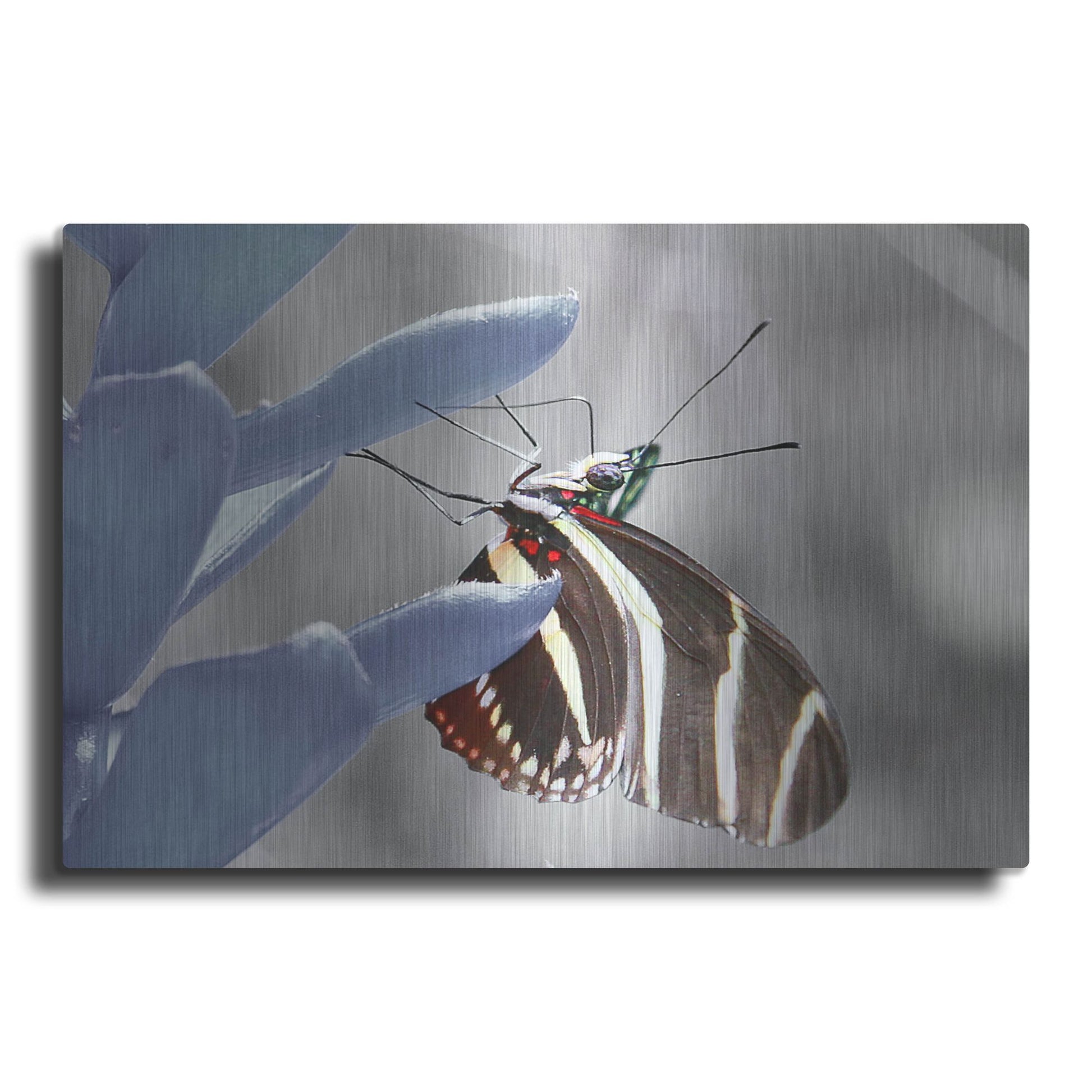 Luxe Metal Art 'Butterfly' by Dana Brett Munach, Metal Wall Art