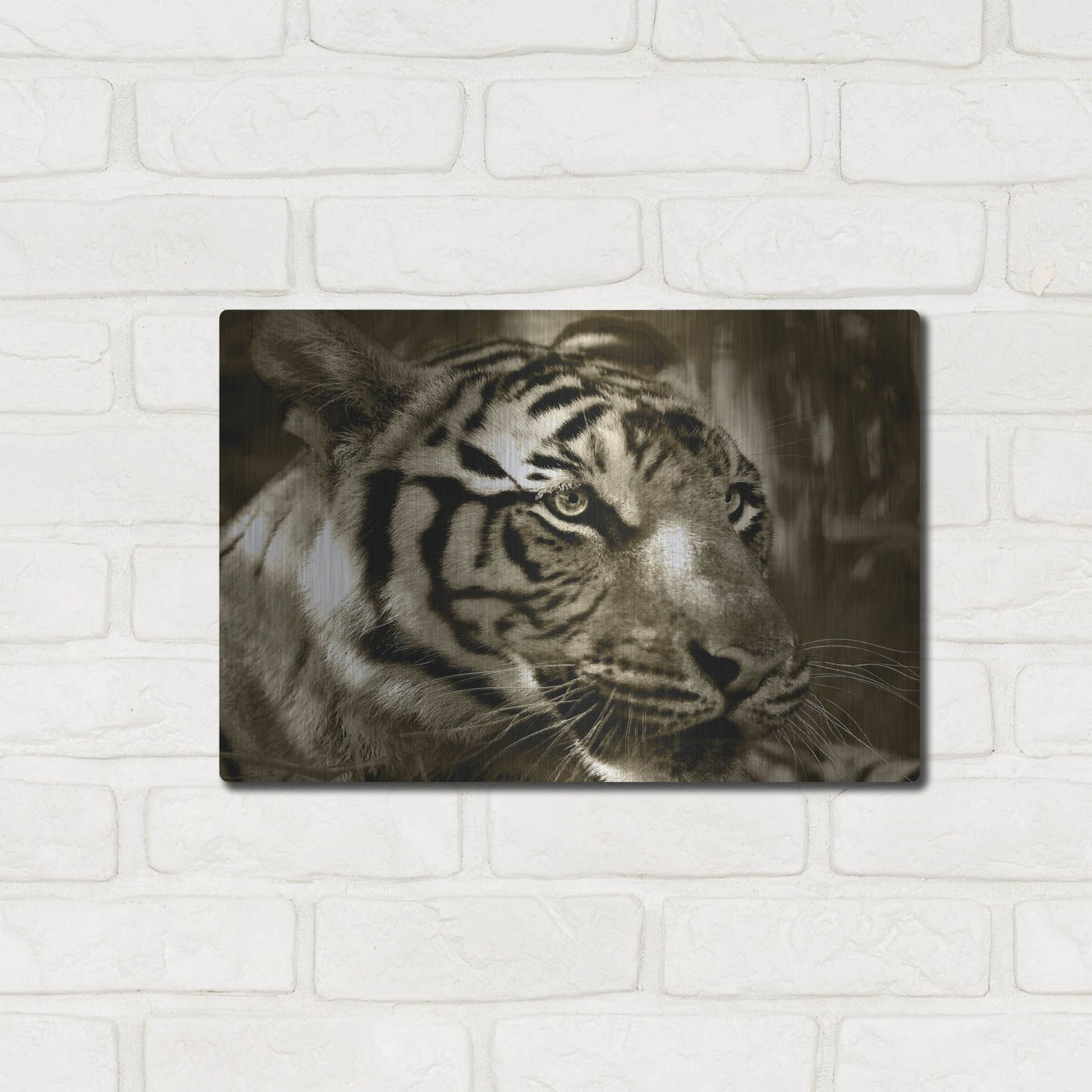 Luxe Metal Art 'Focus' by Dana Brett Munach, Metal Wall Art,16x12