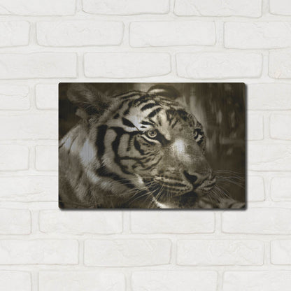 Luxe Metal Art 'Focus' by Dana Brett Munach, Metal Wall Art,16x12