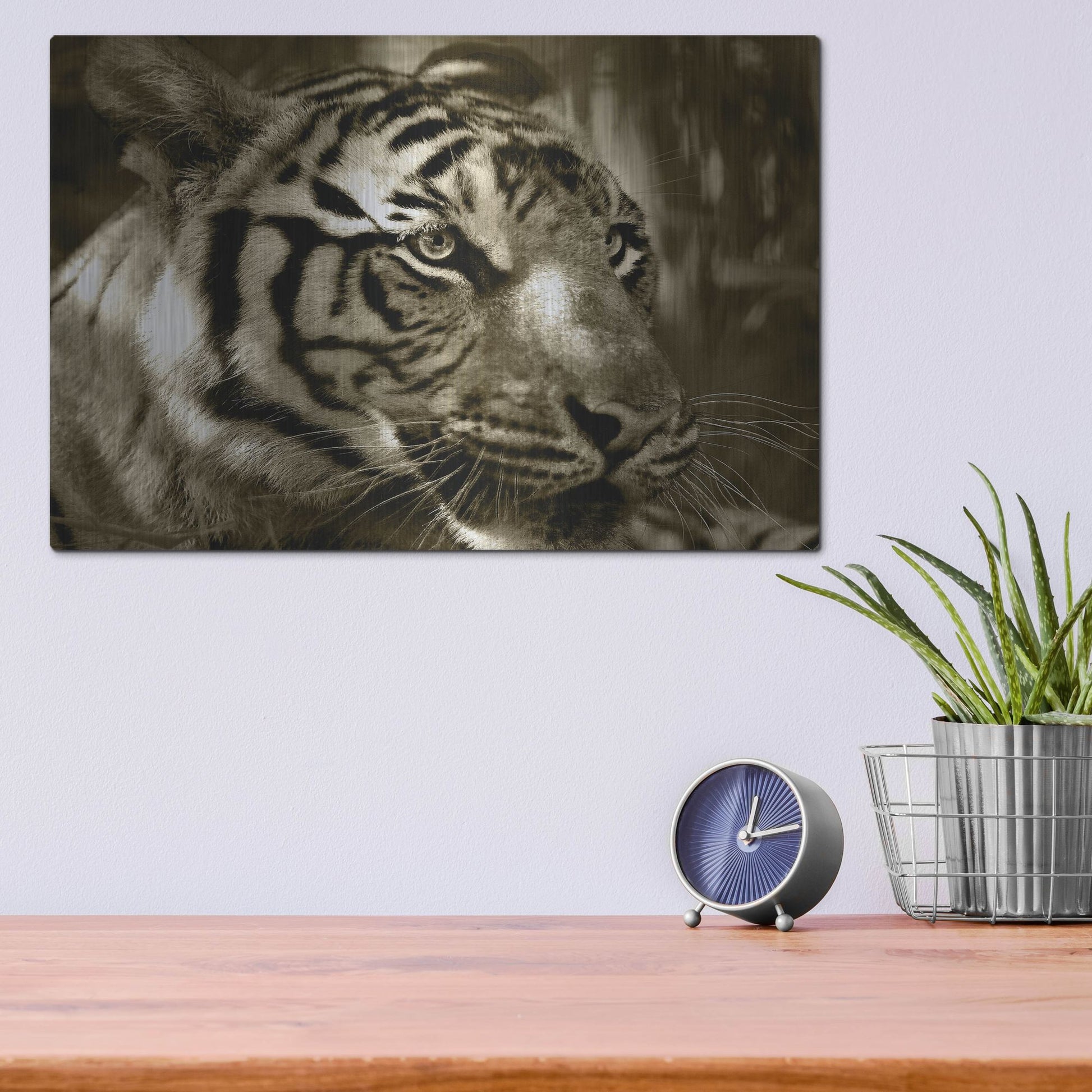 Luxe Metal Art 'Focus' by Dana Brett Munach, Metal Wall Art,16x12