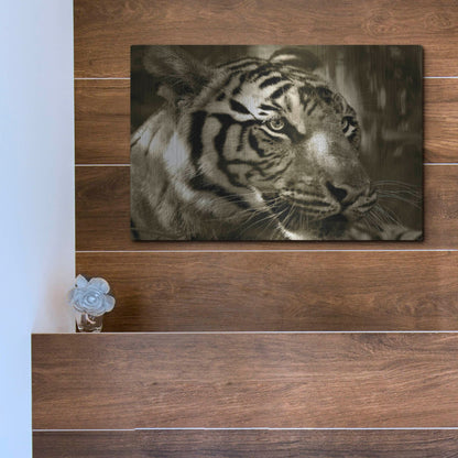 Luxe Metal Art 'Focus' by Dana Brett Munach, Metal Wall Art,16x12