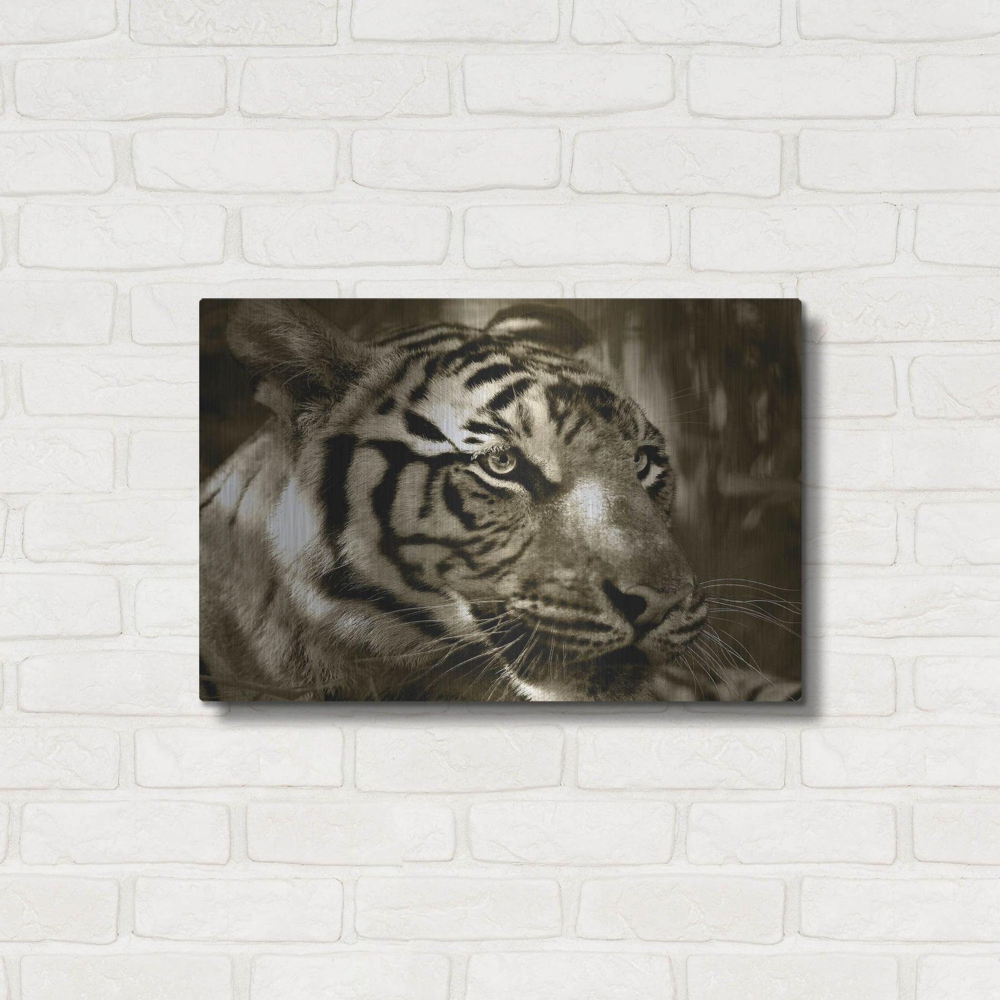 Luxe Metal Art 'Focus' by Dana Brett Munach, Metal Wall Art,24x16