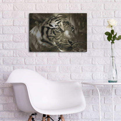 Luxe Metal Art 'Focus' by Dana Brett Munach, Metal Wall Art,24x16