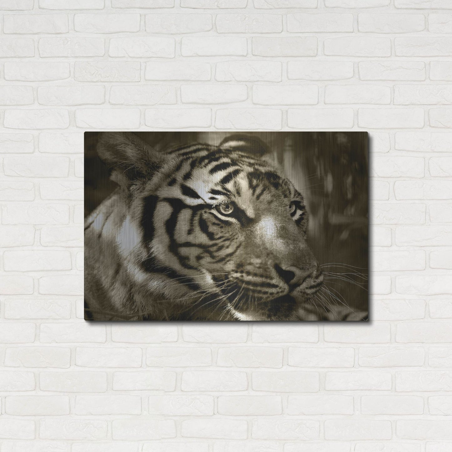 Luxe Metal Art 'Focus' by Dana Brett Munach, Metal Wall Art,36x24