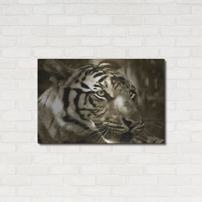 Luxe Metal Art 'Focus' by Dana Brett Munach, Metal Wall Art,36x24