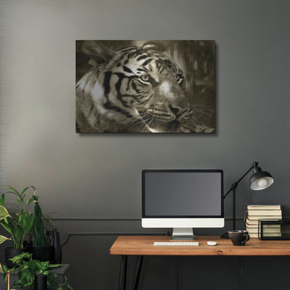 Luxe Metal Art 'Focus' by Dana Brett Munach, Metal Wall Art,36x24