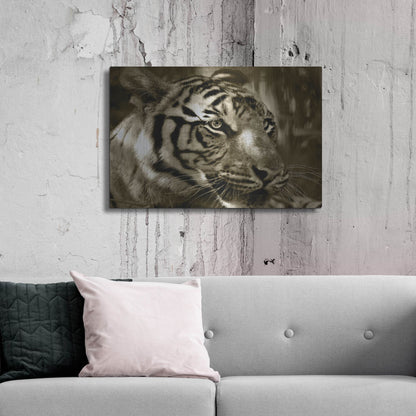 Luxe Metal Art 'Focus' by Dana Brett Munach, Metal Wall Art,36x24