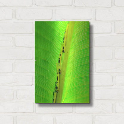 Luxe Metal Art 'Following The Leader' by Dana Brett Munach, Metal Wall Art,12x16