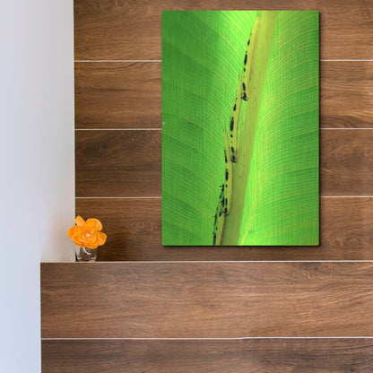 Luxe Metal Art 'Following The Leader' by Dana Brett Munach, Metal Wall Art,12x16