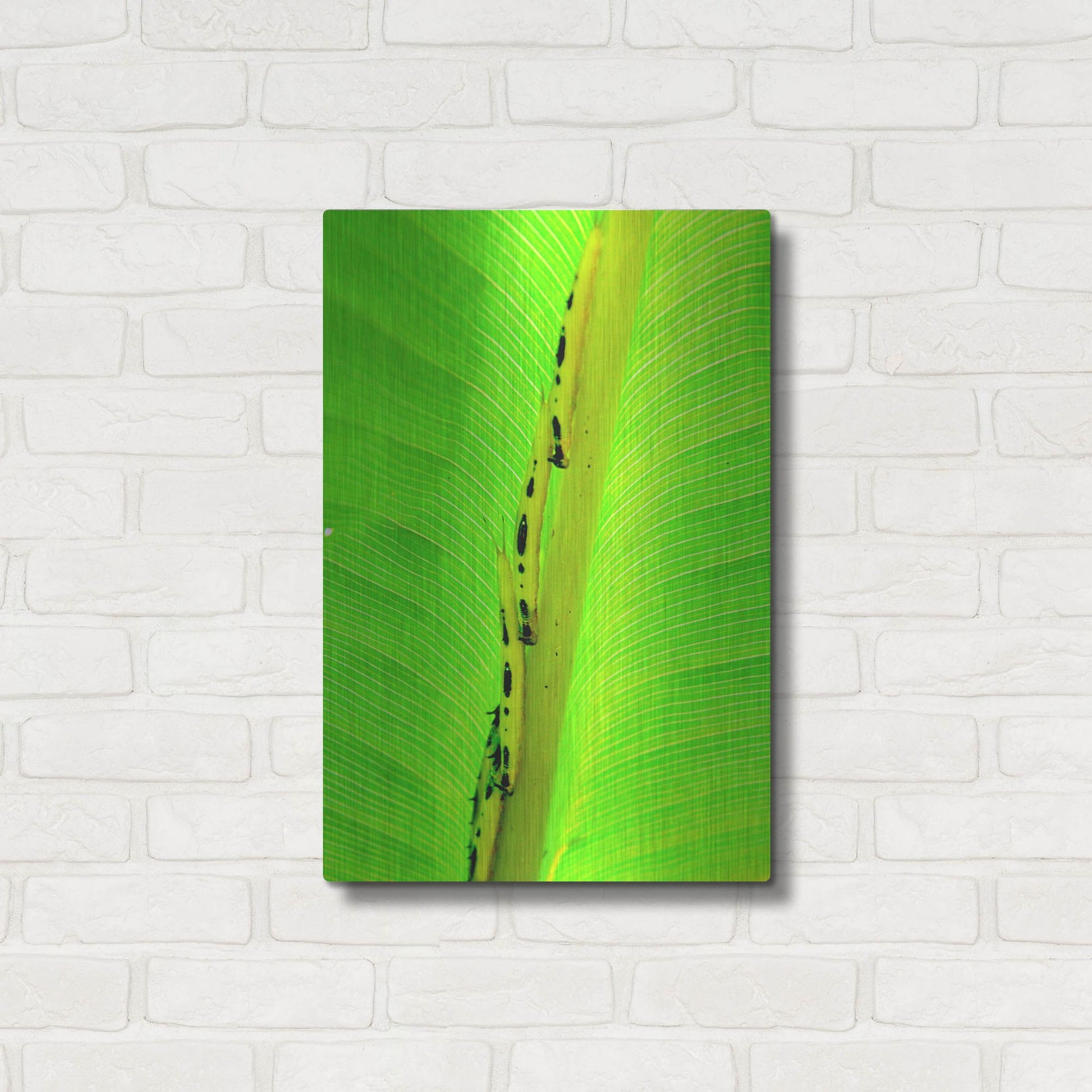 Luxe Metal Art 'Following The Leader' by Dana Brett Munach, Metal Wall Art,16x24