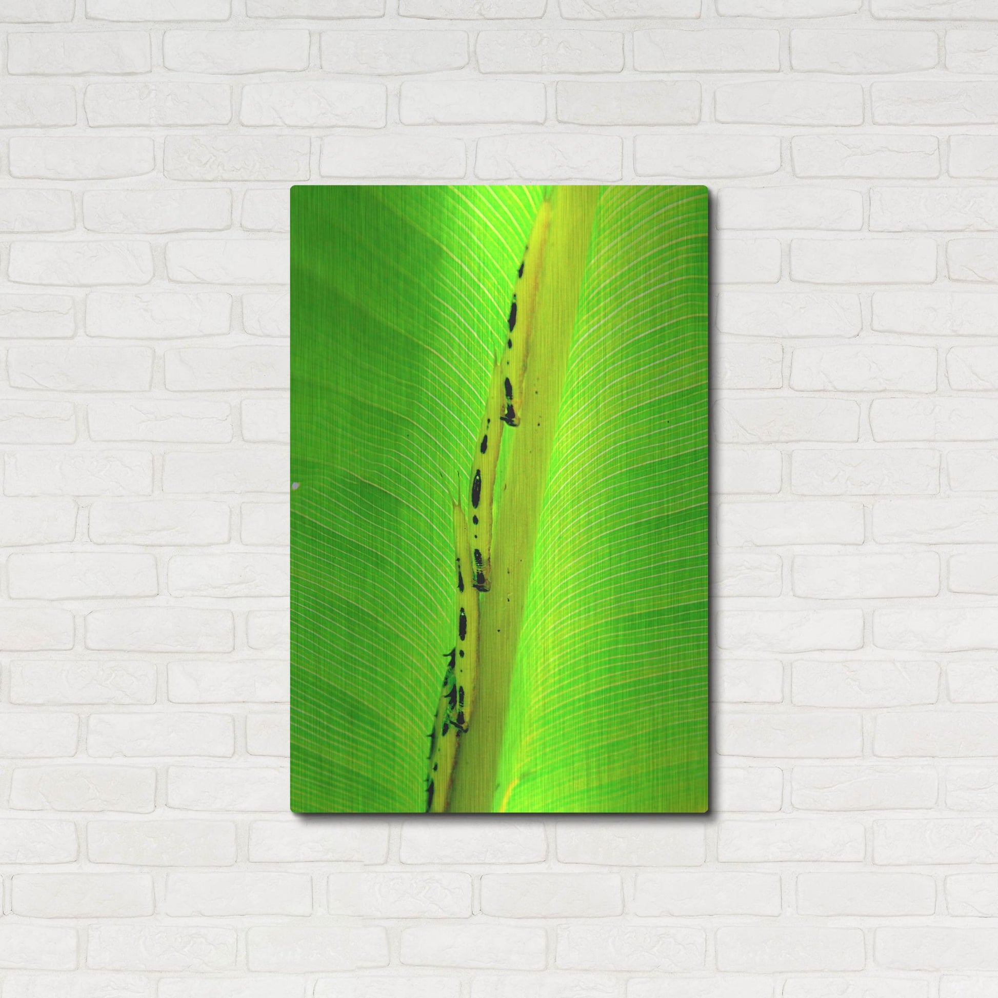 Luxe Metal Art 'Following The Leader' by Dana Brett Munach, Metal Wall Art,24x36