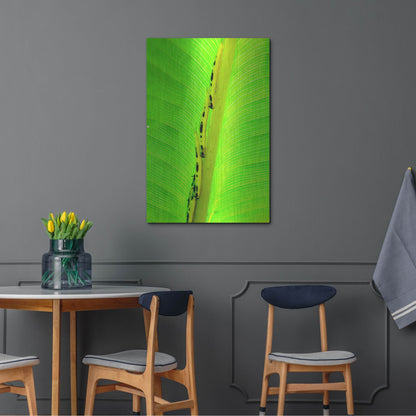 Luxe Metal Art 'Following The Leader' by Dana Brett Munach, Metal Wall Art,24x36