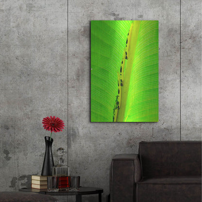 Luxe Metal Art 'Following The Leader' by Dana Brett Munach, Metal Wall Art,24x36