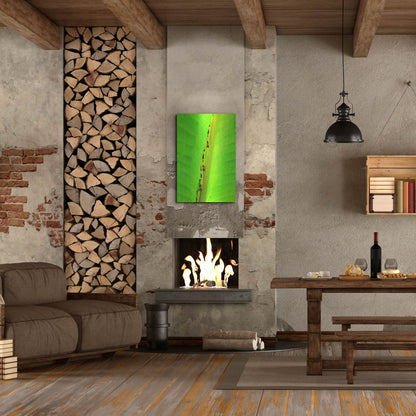 Luxe Metal Art 'Following The Leader' by Dana Brett Munach, Metal Wall Art,24x36