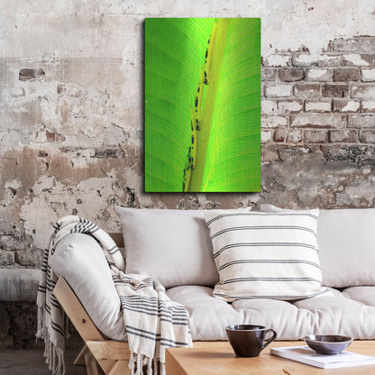 Luxe Metal Art 'Following The Leader' by Dana Brett Munach, Metal Wall Art,24x36