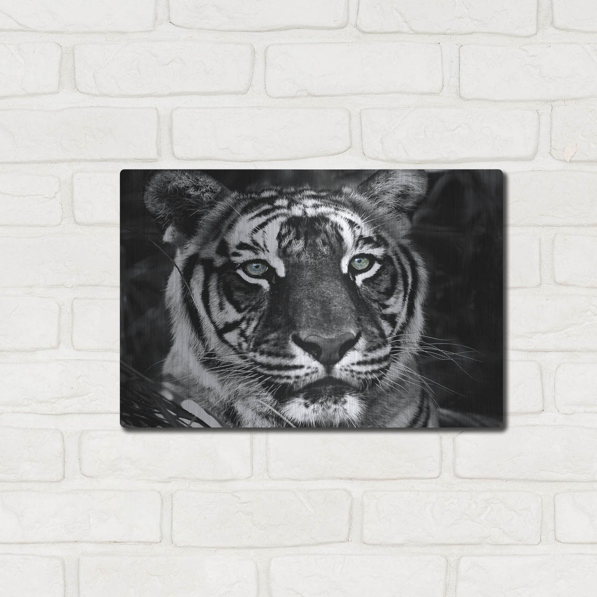 Luxe Metal Art 'The Observer Black & White' by Dana Brett Munach, Metal Wall Art,16x12