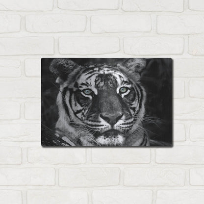 Luxe Metal Art 'The Observer Black & White' by Dana Brett Munach, Metal Wall Art,16x12