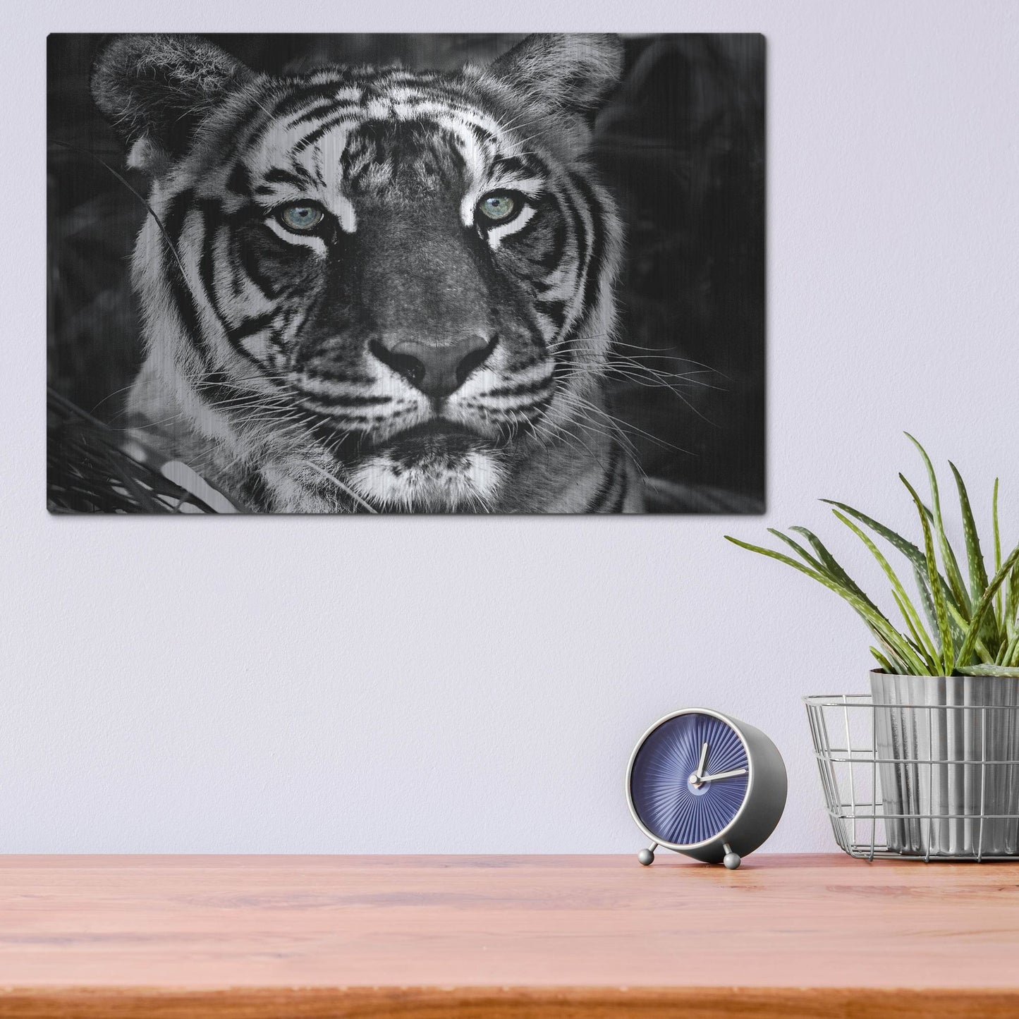 Luxe Metal Art 'The Observer Black & White' by Dana Brett Munach, Metal Wall Art,16x12