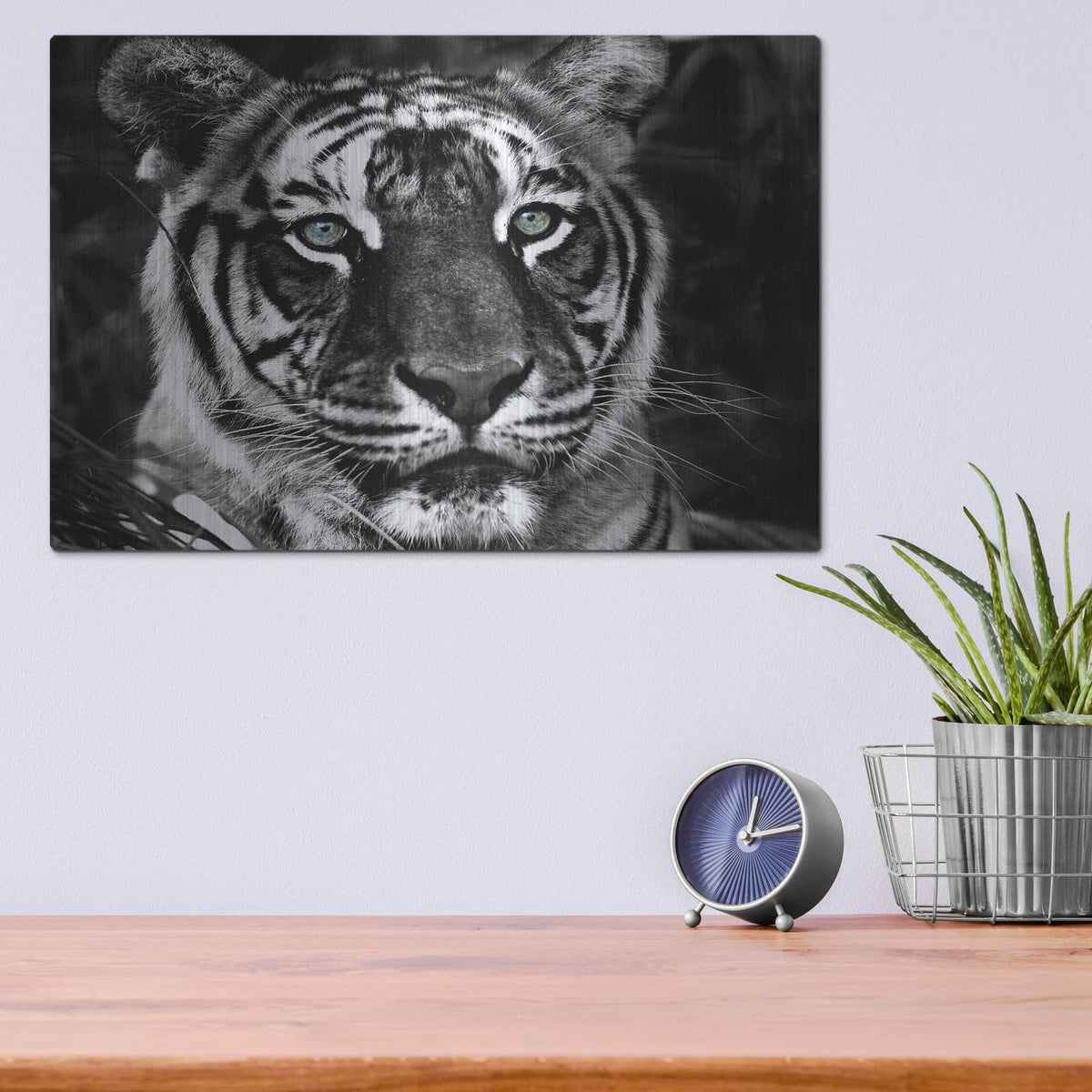 'The Observer Black & White' by Dana Brett Munach – Metal Wall Art, 16x12 room view