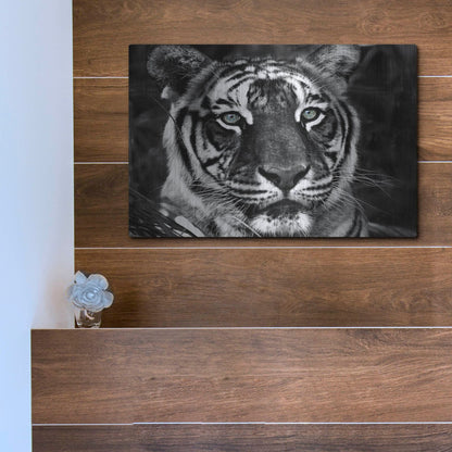 Luxe Metal Art 'The Observer Black & White' by Dana Brett Munach, Metal Wall Art,16x12