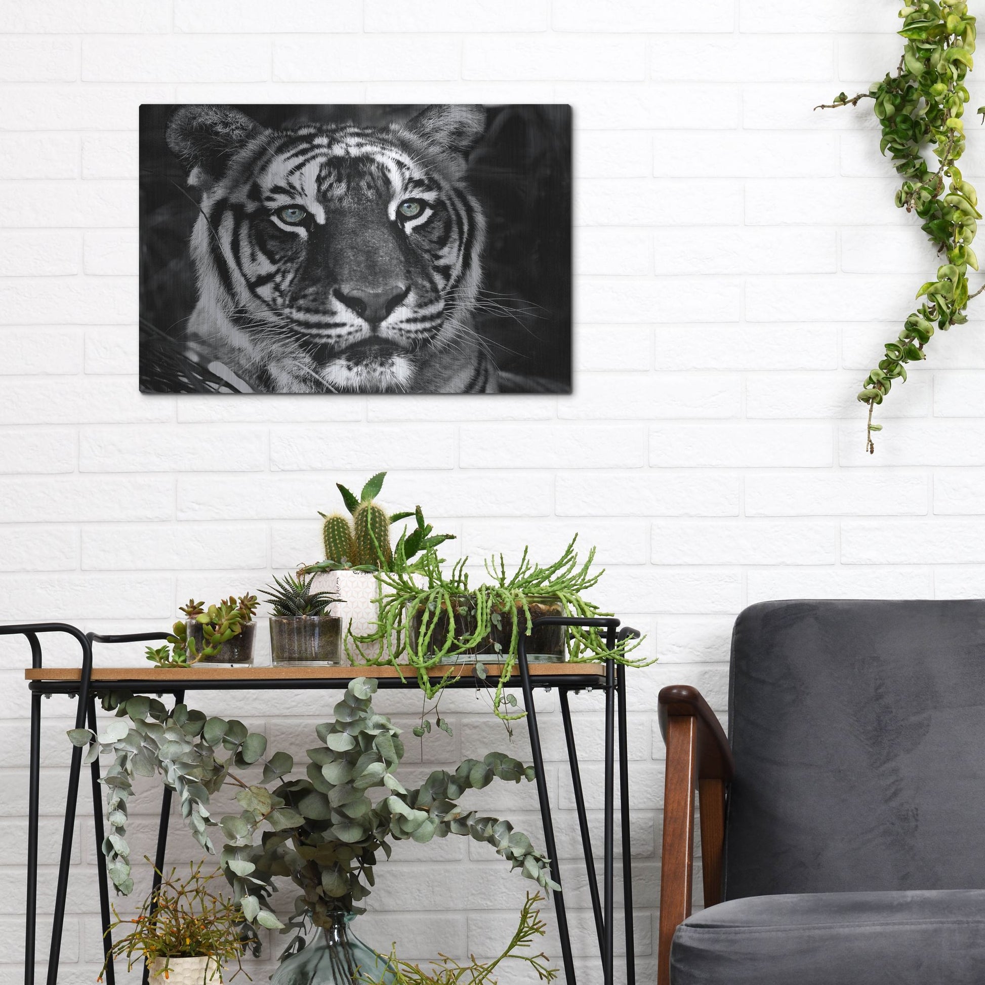 Luxe Metal Art 'The Observer Black & White' by Dana Brett Munach, Metal Wall Art,16x12