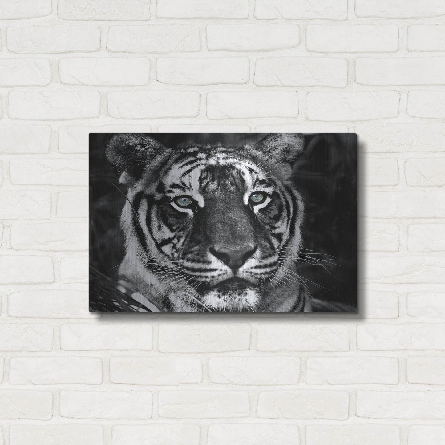 Luxe Metal Art 'The Observer Black & White' by Dana Brett Munach, Metal Wall Art,24x16