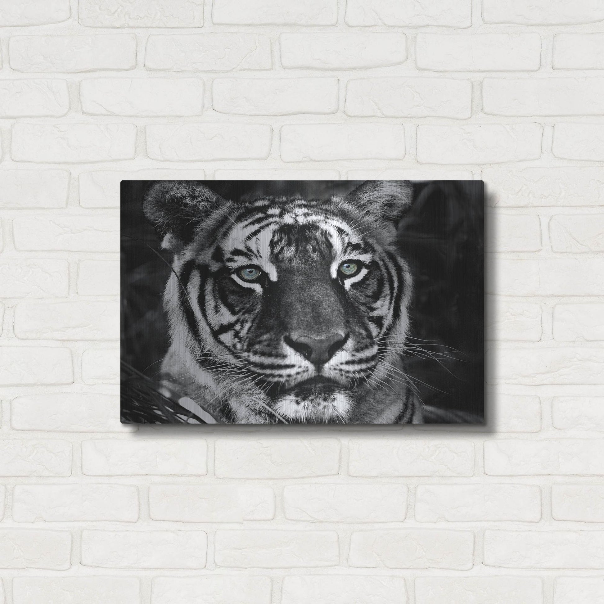 Luxe Metal Art 'The Observer Black & White' by Dana Brett Munach, Metal Wall Art,24x16