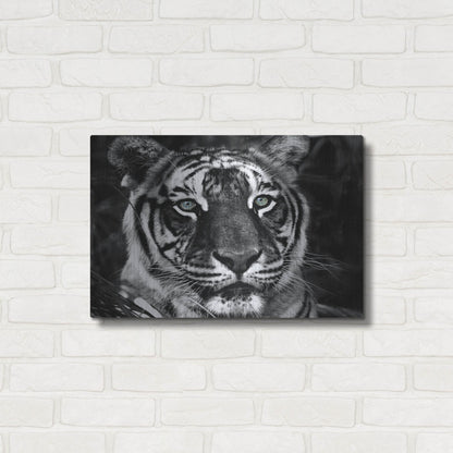 Luxe Metal Art 'The Observer Black & White' by Dana Brett Munach, Metal Wall Art,24x16