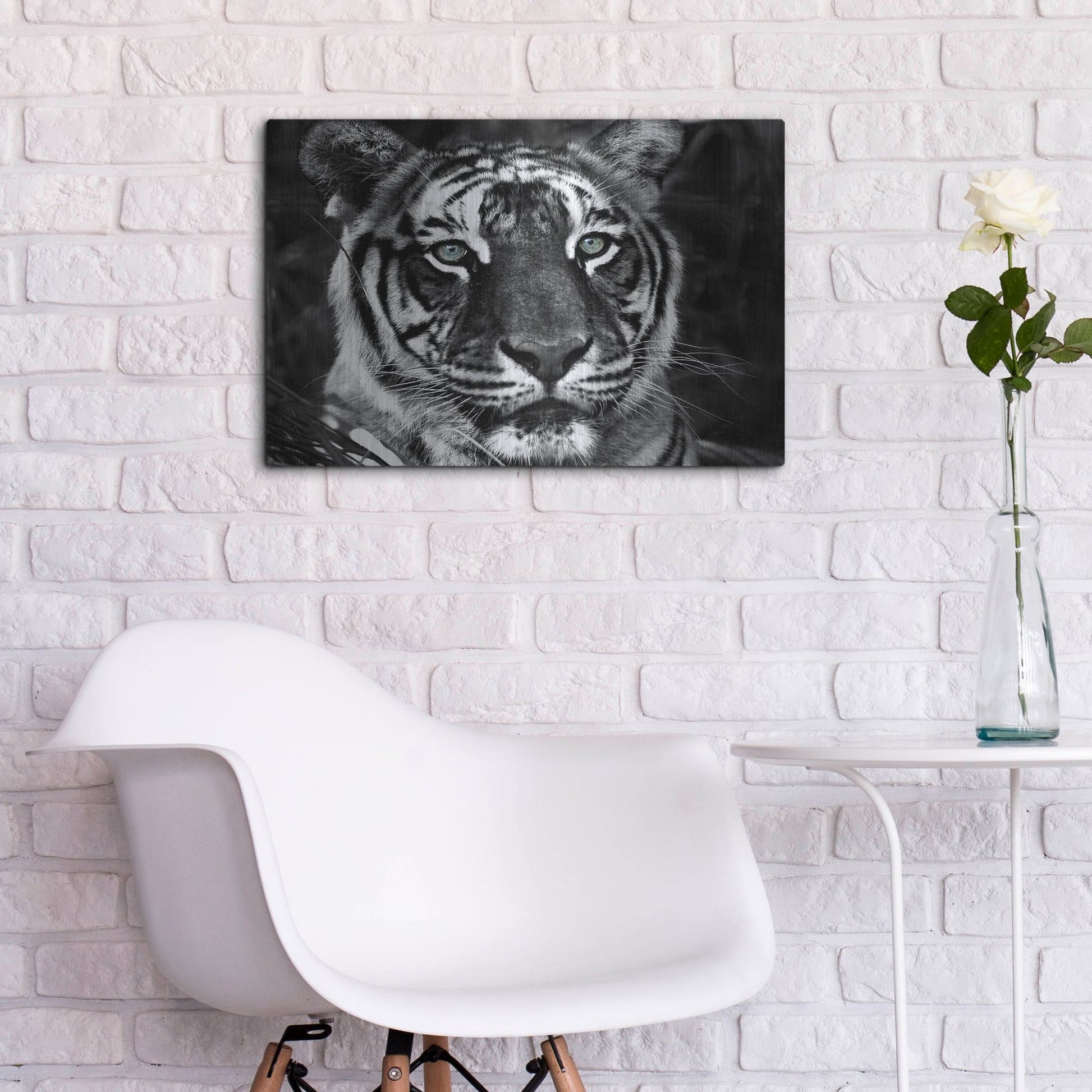 Luxe Metal Art 'The Observer Black & White' by Dana Brett Munach, Metal Wall Art,24x16