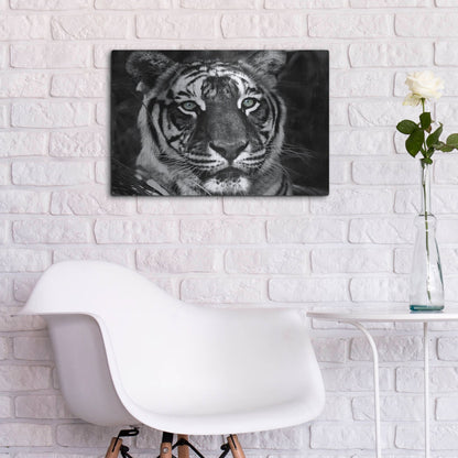 Luxe Metal Art 'The Observer Black & White' by Dana Brett Munach, Metal Wall Art,24x16