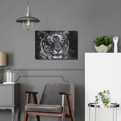 Luxe Metal Art 'The Observer Black & White' by Dana Brett Munach, Metal Wall Art,24x16