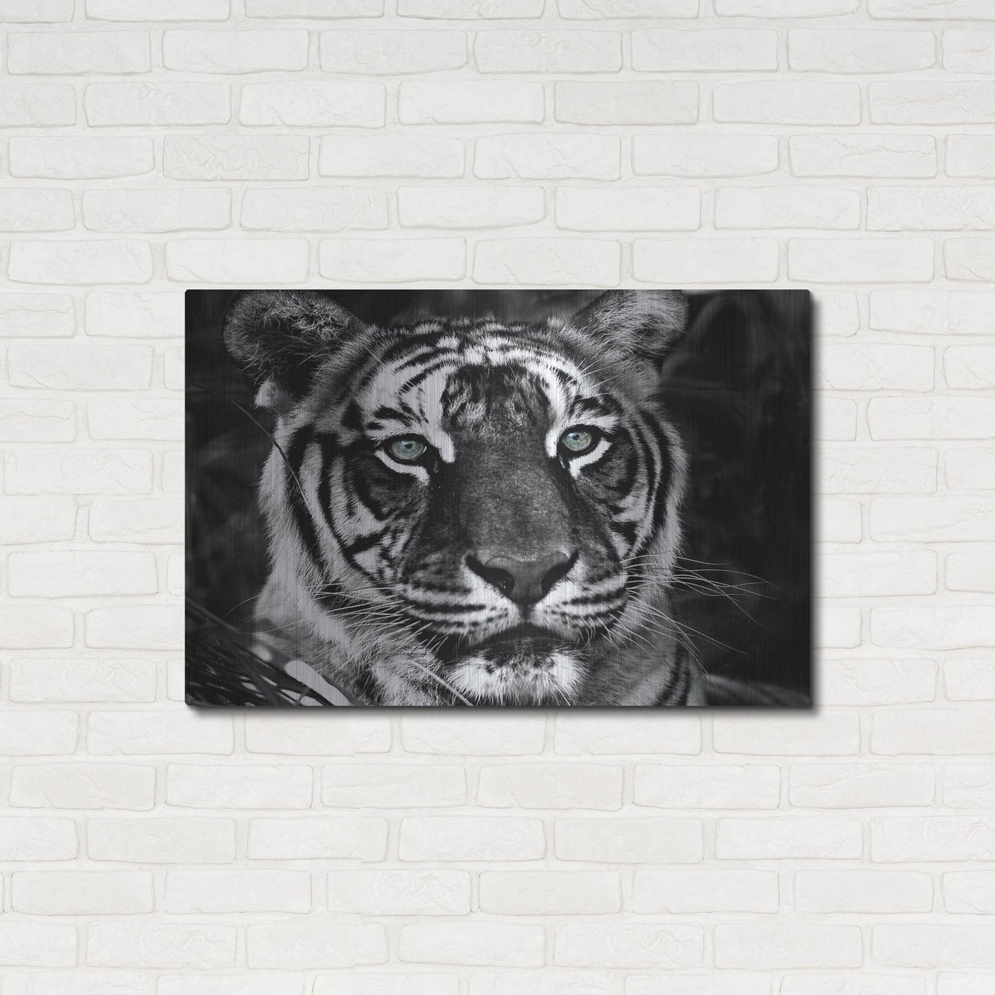 Luxe Metal Art 'The Observer Black & White' by Dana Brett Munach, Metal Wall Art,36x24