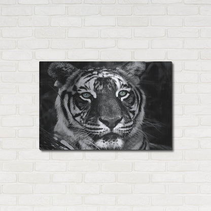 Luxe Metal Art 'The Observer Black & White' by Dana Brett Munach, Metal Wall Art,36x24