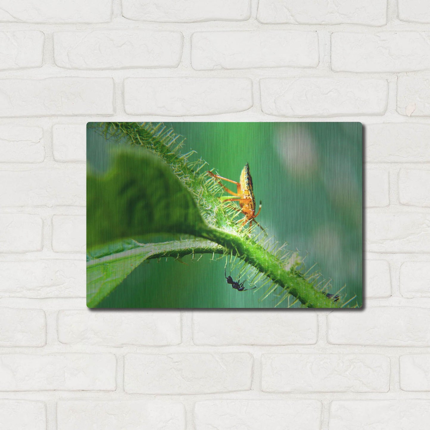 Luxe Metal Art 'Two Lane Highway' by Dana Brett Munach, Metal Wall Art,16x12