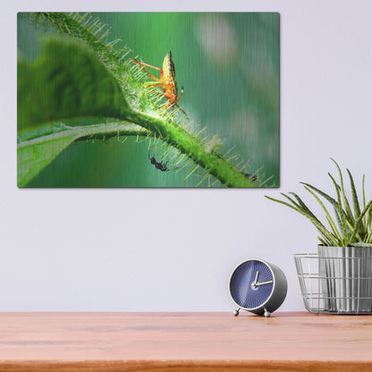 Luxe Metal Art 'Two Lane Highway' by Dana Brett Munach, Metal Wall Art,16x12