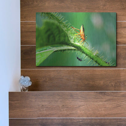 Luxe Metal Art 'Two Lane Highway' by Dana Brett Munach, Metal Wall Art,16x12