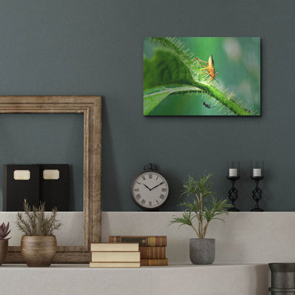 Luxe Metal Art 'Two Lane Highway' by Dana Brett Munach, Metal Wall Art,16x12