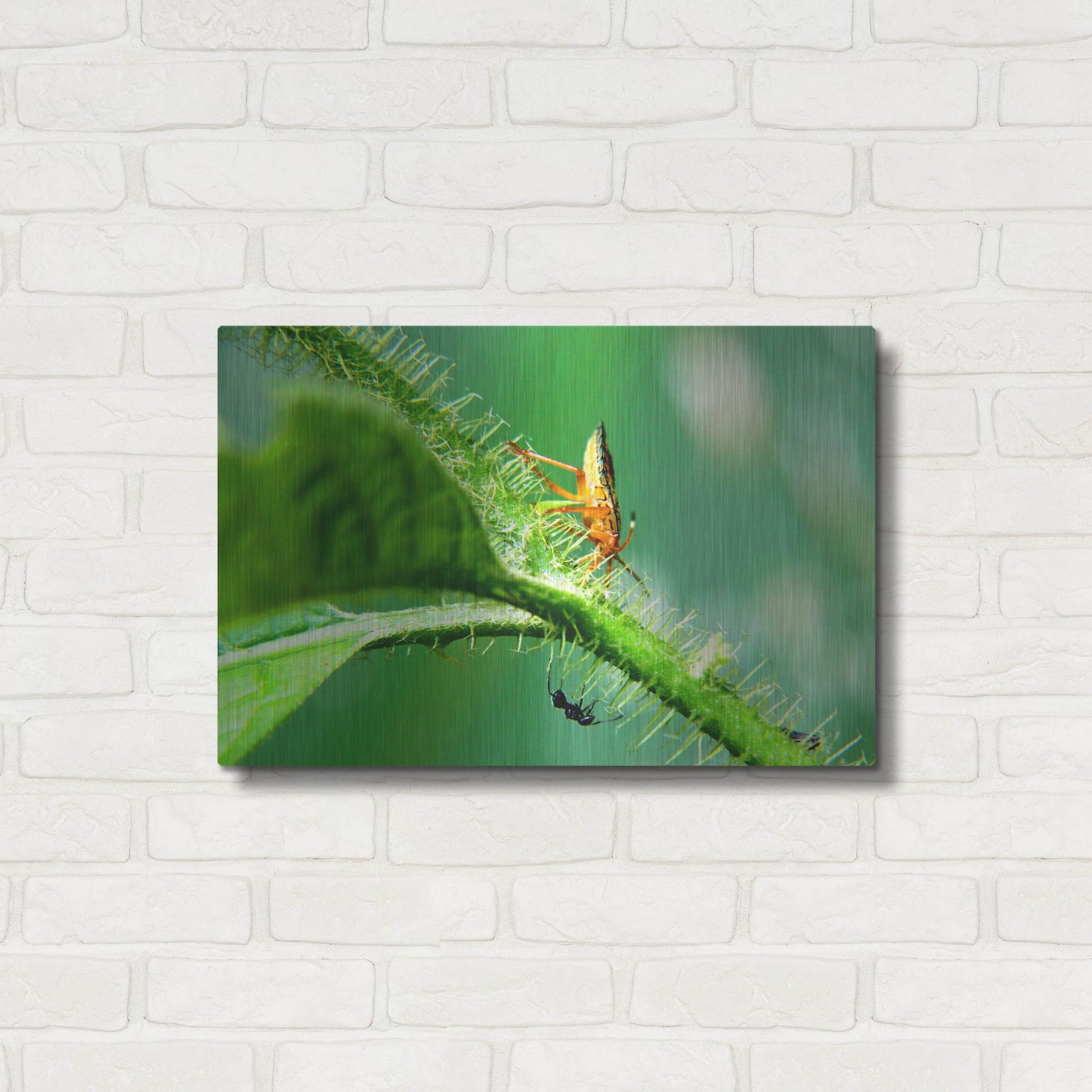 Luxe Metal Art 'Two Lane Highway' by Dana Brett Munach, Metal Wall Art,24x16